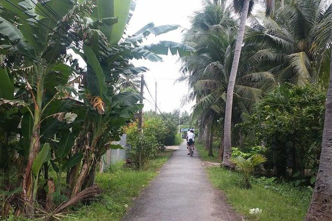 Authentic 'Non-Touristy' Mekong Delta Ben Tre 1 Day Private Tour - Final Thoughts