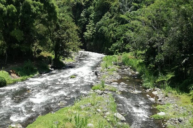 Ayung Rafting Ubud (Include Lunch & Return Transportation) - Final Note