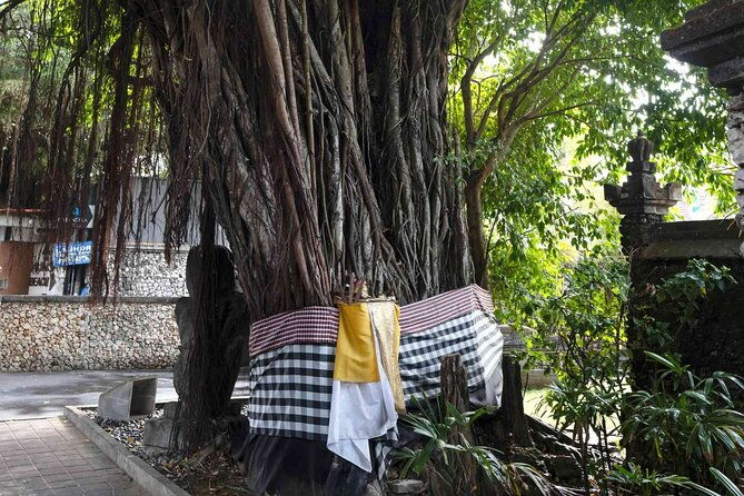 Backlanes and Hidden Sites: A Self-Guided Audio Tour in Seminyak - Who Will Love This Tour?
