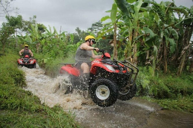 Bali ATV Combined with Mumbul Lake And Sangeh Monkey Forest - The Sum Up