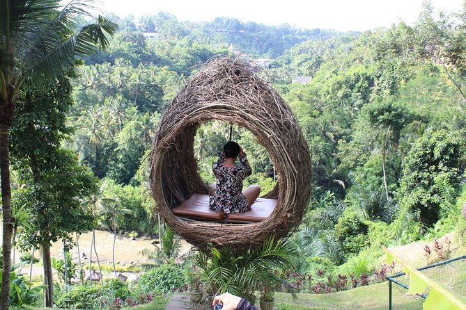 Bali ATV Quad Ride and Giant Swing Experiences - Who Should Consider This Tour?