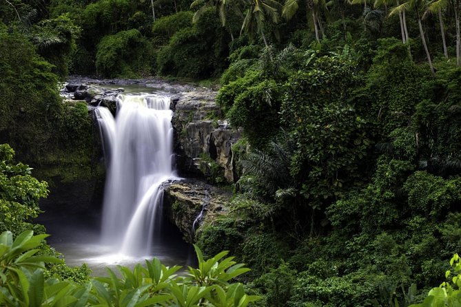 Bali Breathtaking Waterfall Tour (Private & All-Inclusive) - Final Words