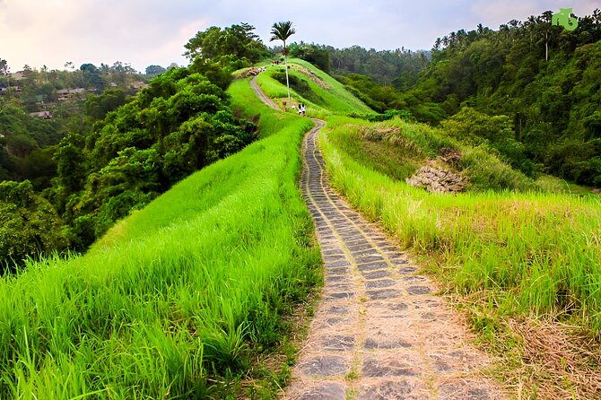 Bali Car-Charter: Half Day Ubud Village Tour - Final Thoughts: Why Choose This Tour?