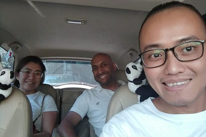 Bali Car Rental with Driver - Why You Should Consider This Tour