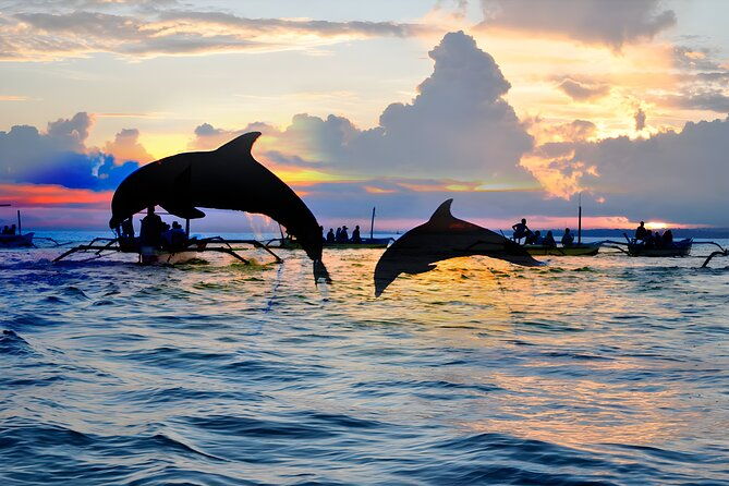 Bali Dolphin Watching Sunrise Tour in Lovina Beach - FAQ