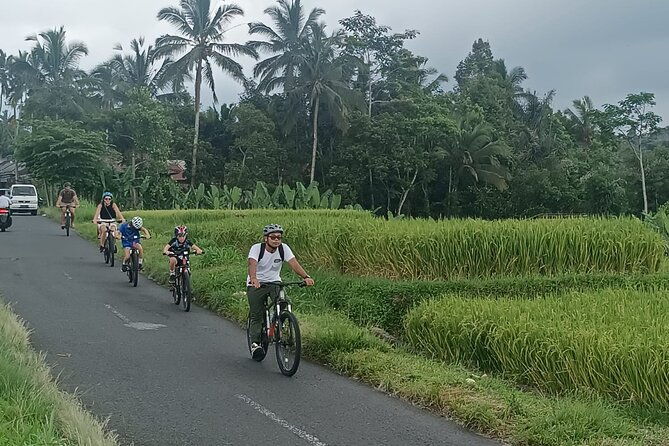 Bali Downhill Natural Cycling Tour & visit Volcano - Who Is This Tour Best For?