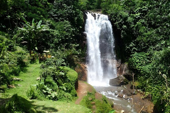 Bali Full-Day Car Charter: Beauty of North Bali Tour - FAQ