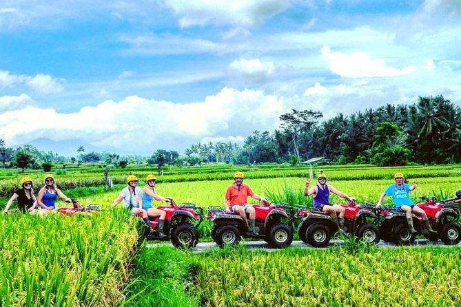 Bali : Private Car Charter with Balinese English Speaking Driver - Final Thoughts