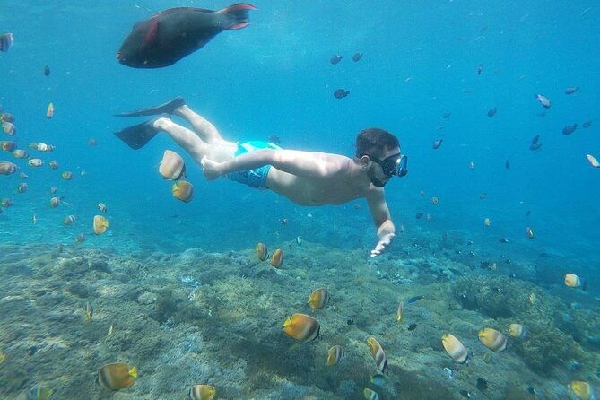 Bali Private Snorkeling (Manta, Gamat, Wall) and Nusa Penida Tour - Who Is This Tour Best For?