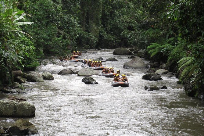 Bali Rafting Ubud with Lunch - Who Should Book This Tour?