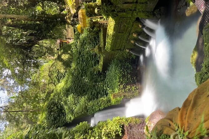 Bali Tour Driver - FAQs