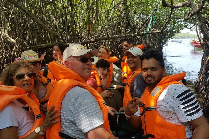 Bentota River Safari By BTM (Mangrove & Wildlife Encounter) - Practical Tips for Your Safari