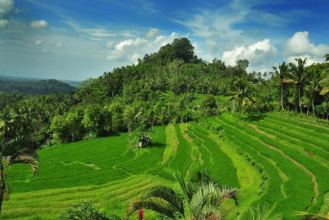 Besakih Temple Tour - Mother Temple in Bali - The Sum Up: Is This Tour Worth It?