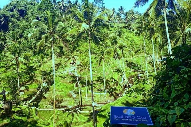 Best bali transport service - custom your own itinerary - Final Thoughts: Is This Tour for You?