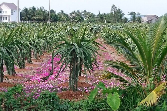Best mekong delta bike tour - Final Thoughts