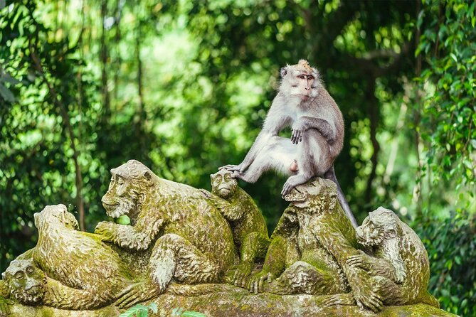 Best of Bali - Ubud Tour All-Inclusive Private Tour - FAQ