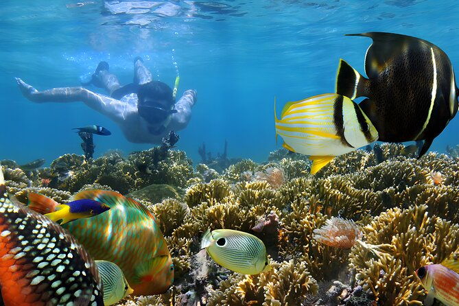 Best of Bali Water Sport Jumbo Packages - The Cost-Value Balance