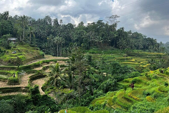 Best of Ubud - Ubud Tour Popular - All Inclusive - The Sum Up