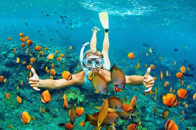 Best Snorkeling Trip at Blue Lagoon Bali - FAQs