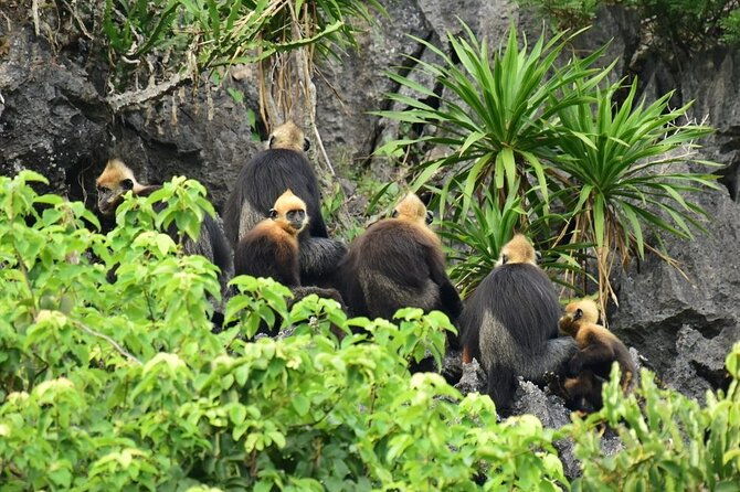 BEST UNIQUE 3-Day Halong Bay Cruise, Lan Ha & Cat Ba Island - The Sum Up