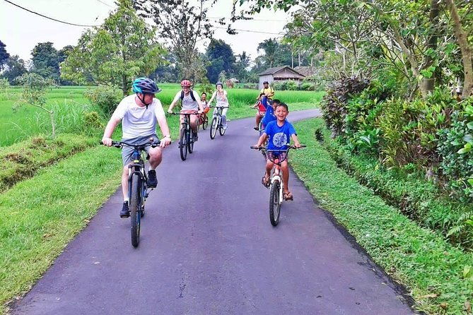 Bike ride in the rice fields, Bali countryside - The Sum Up
