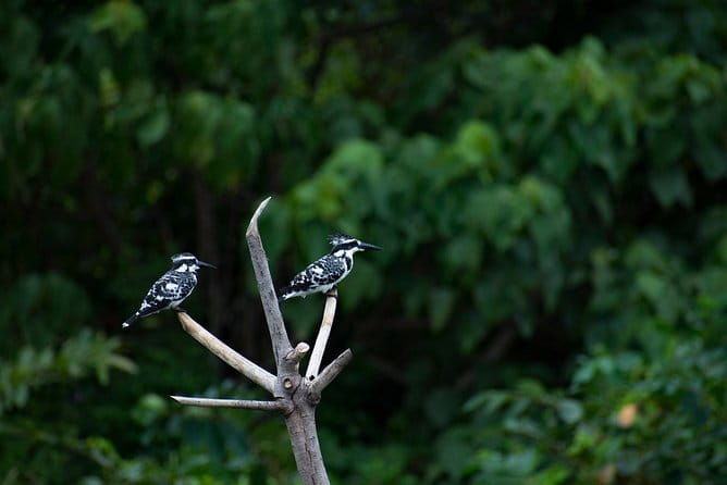 Bird Watching Tour Sri Lanka - 10 Days - Final Thoughts