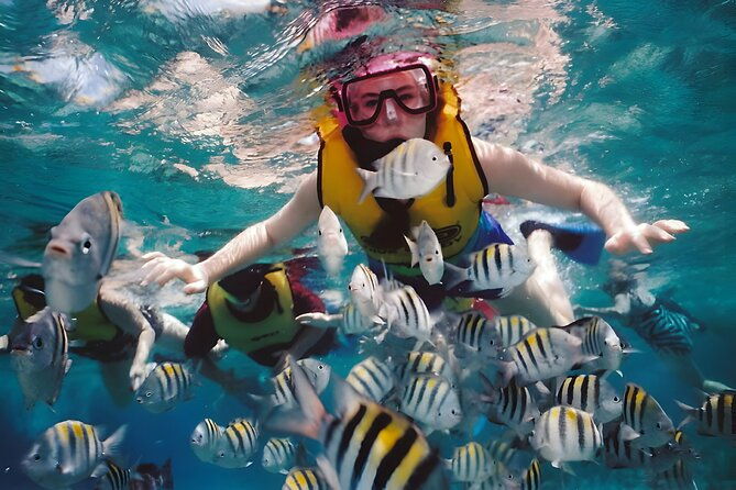 Blue Lagoon Snorkeling - Bali Best Snorkeling Site - FAQs