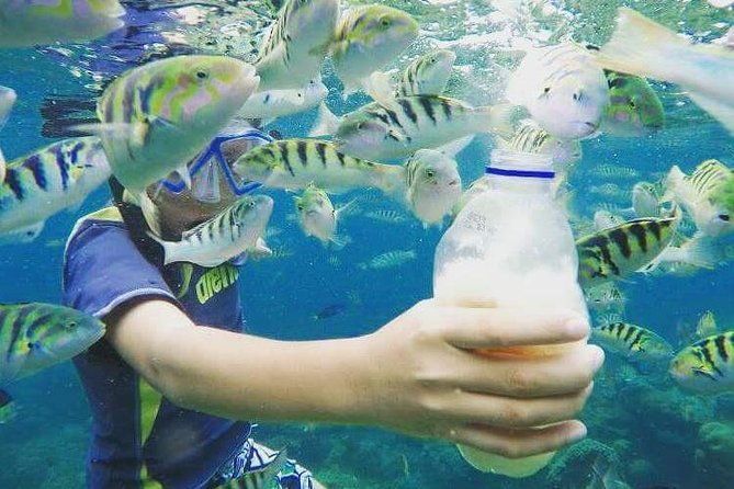 Blue Lagoon & Tanjung Jepun Snorkeling Private Tour - The Value of the Tour