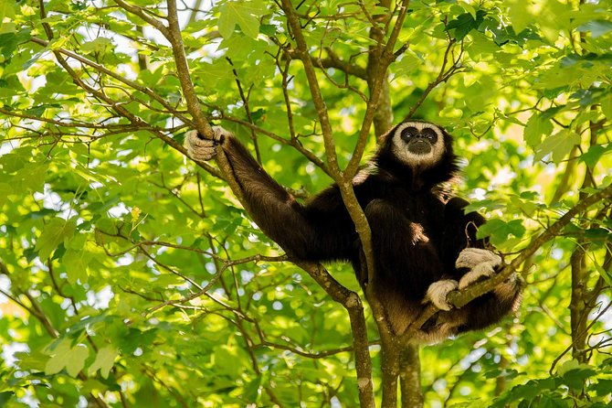 Bukit Lawang Full Day Jungle Trek - Final Thoughts: Is It Worth It?