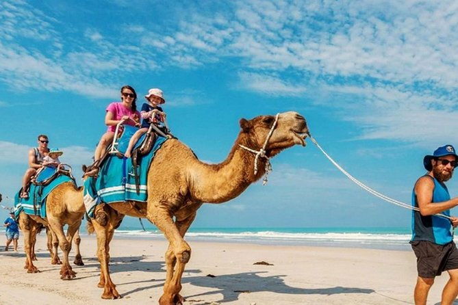 Camel Safari 30 minutes In White Sand Beach - Authenticity and Review Insights