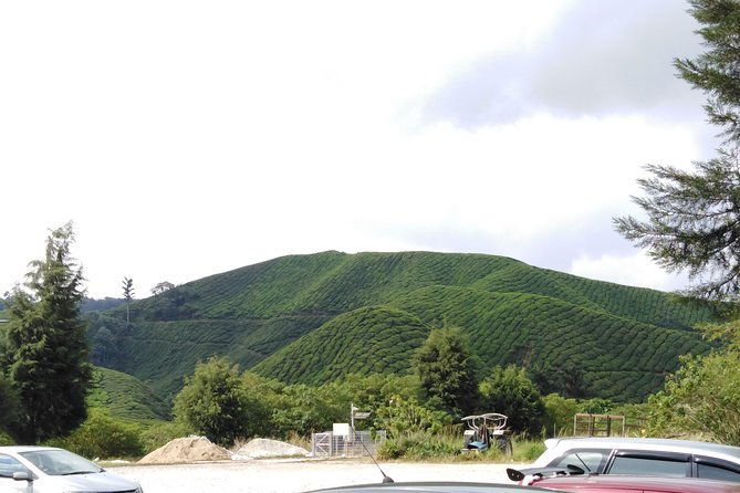 Cameron Highland Private Day Tour - Final Thoughts
