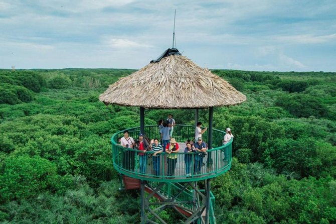 Can Gio mangrove eco tour 1 day private - FAQ