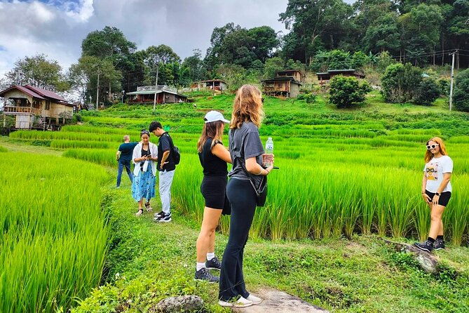 Chiang Mai: Doi Inthanon National Park, Waterfall & Royal Project - Practical Tips for Booking