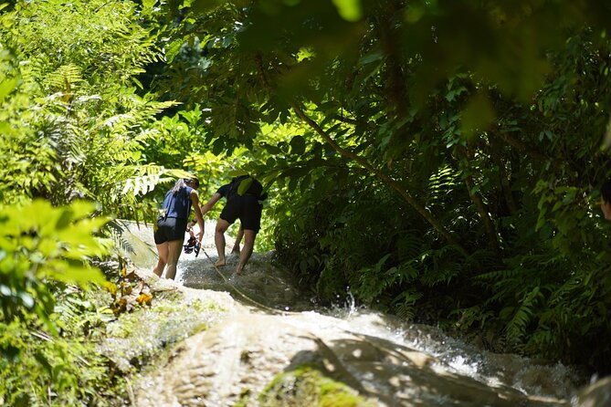 Chiang Mai:Sticky Waterfall Adventure and Bua Tong Huge Cave Tour - Who Is This Tour Best For?