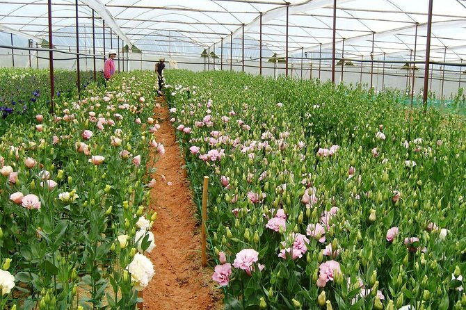 Coffee Class and DaLat Outskirt Tour - FAQ