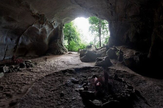 Cuc Phuong National Park Private Day Tour: Trekking & Primates - FAQ