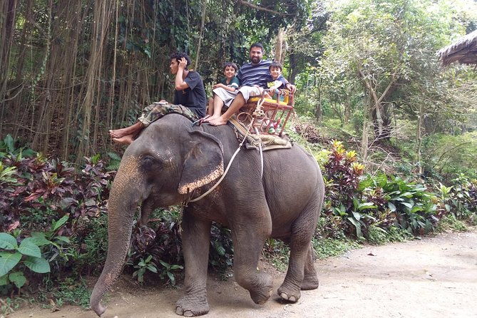 Customized Phuket Tours with Private Driver - What the Reviews Say