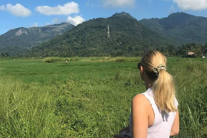 Day tour to Sigiriya & Dambulla from Kandy - The Sum Up