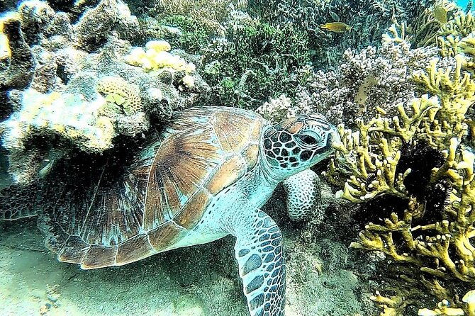 Day Trip Secret Island West Of Lombok - Practical Tips for Travelers