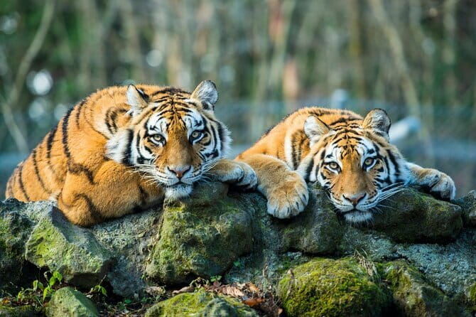 Day Trip Taj Mahal, Agra Fort & Baby Taj Tour from Delhi by Car - Who Should Consider This Tour?