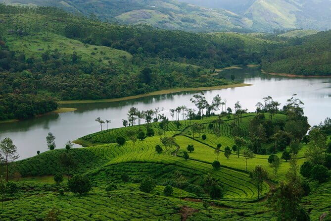 Day Trip to Athirappilly Water Falls by Kochi Taxi - Who Should Book This Tour?