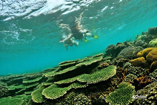 [DISCOVERY SNORKELING] 4 Islands-2 Reefs & BBQ [MAX 12 PAX] - The Sum Up  