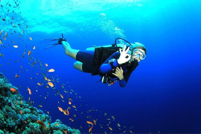 Dive at Tulamben Bali USS Liberty Ship Wreck - The Sum Up