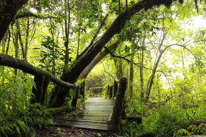Doi Inthanon National park and 2 hours hiking with private tour - Considerations