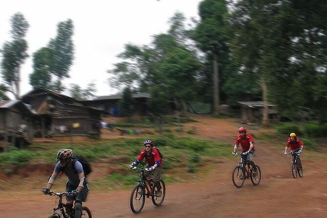 Doi Suthep National Park To Chiang Mai Beginner Downhill Mountain Biking - Final Thoughts