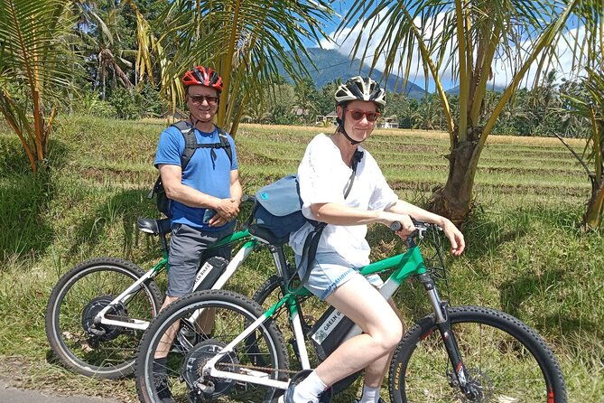 Electric bicycle tour in Jatiluwih UNESCO site - Who Is This Tour Best For?