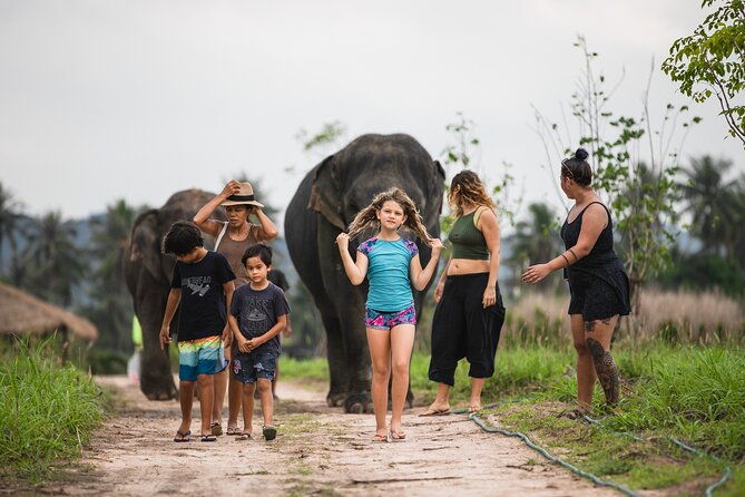 Elephant Jungle Sanctuary: Half Day Afternoon Program - The Sum Up