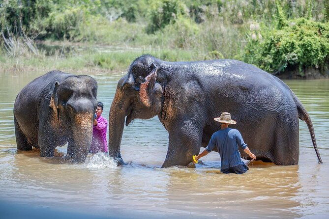 Elephant Sanctuary Small Group Tour in Phuket - The Sum Up: Who Will Love This Tour?