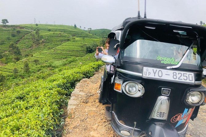 Ella Day Trip from Mirissa, Weligama, Galle, Hikkaduwa - Final Thoughts: Who Is This Tour For?
