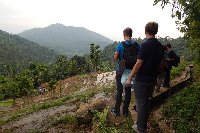 Exclusive knuckles Camping Tour from kandy - Who Is This Tour Best For?